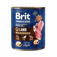 Brit Premium by Nature Märkäruoka koiralle, lammasta tattarilla 800g