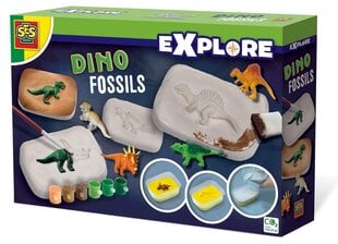 Kokoelma Dinosaur Fossils Ses