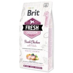 Brit Fresh kuivaruoka pennuille kanalla ja perunalla, 2,5 kg