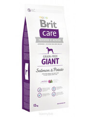 Brit Care Adult kuivaruoka suurille koiraroduille lohella ja perunalla, ilman viljaa, 12 kg
