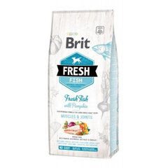 Brit Fresh koiranruoka isoille koirille, kalaa ja kurpitsaa, 2,5 kg