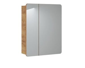 Kylpyhuoneen peilikaappi 60x75x16 cm ARUBA