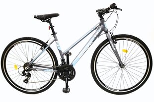 Polkupyörä Whisper WX400 MTB 28", harmaa/sininen
