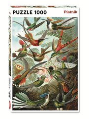 Palapeli Haeckel Kolibrit, 1000 palaa