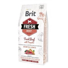 Brit Fresh isoille pennuille, naudanlihaa ja kurpitsaa, 12 kg.