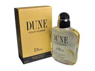 Christian Dior Dune Pour Homme EDT miehelle 100 ml