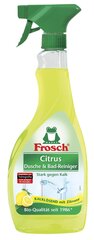 Frosch 500 ml kylpy- ja suihkupuhdistusaine