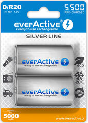 Akut EverActive AAEVHRL20-5500B2