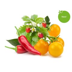 Click and Grow Smart Garden Refill, 9 kpl marjoja ja vihanneksia