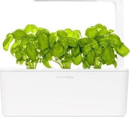 Click & Grow Smart Garden -täyttö Basil 3kpl.