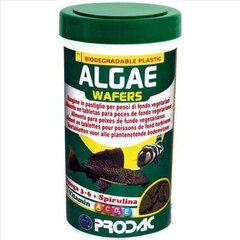 Kasvistabletit kaloille Prodac Algae Wafers, 100ml 50g
