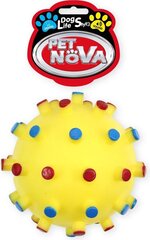 Pet Nova -lelu, vinkuva pallo, 12cm